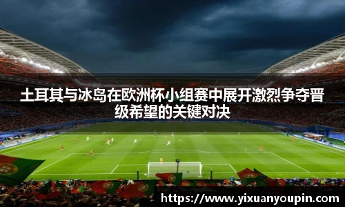熊猫体育土耳其与冰岛在欧洲杯小组赛中展开激烈争夺晋级希望的关键对决
